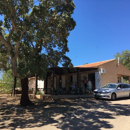 Camping Pezza Cardo Porto-Vecchio  Bagian luar foto