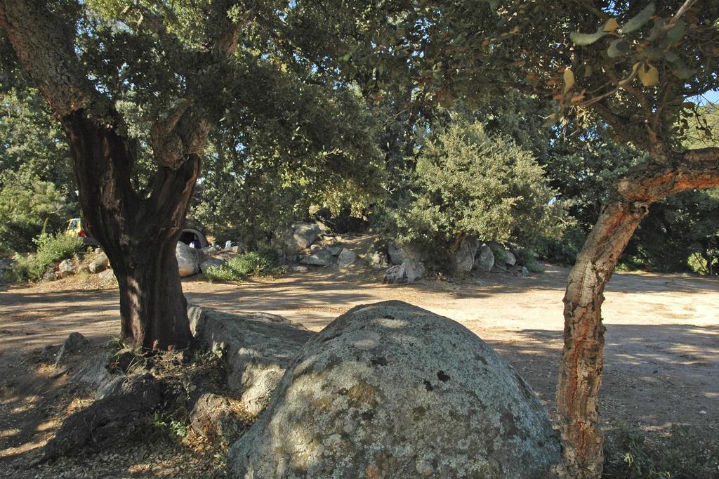 Camping Pezza Cardo Porto-Vecchio  Bagian luar foto